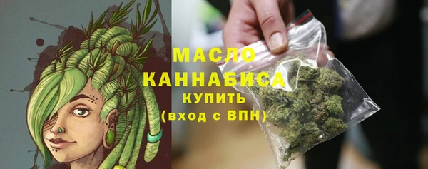 твердый Новозыбков