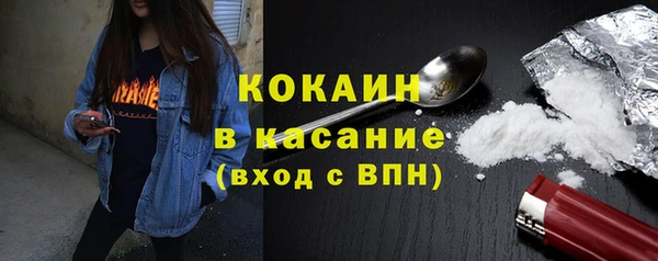 твердый Новозыбков