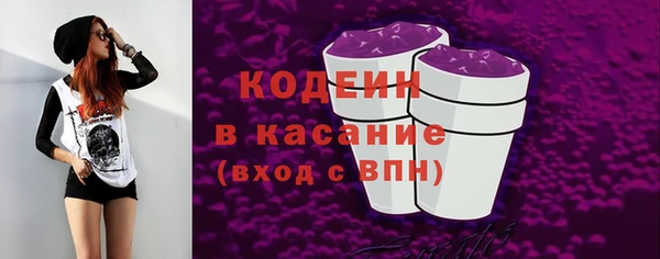 твердый Новозыбков