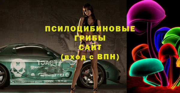 твердый Новозыбков
