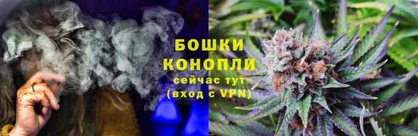 твердый Новозыбков