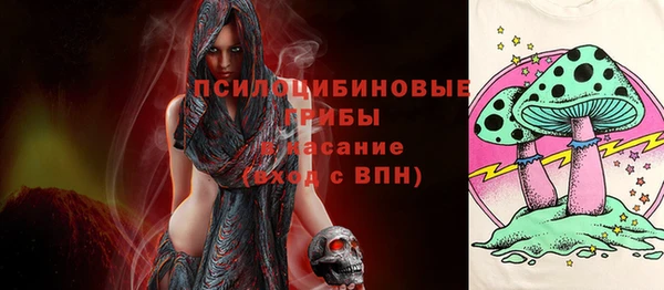 твердый Новозыбков