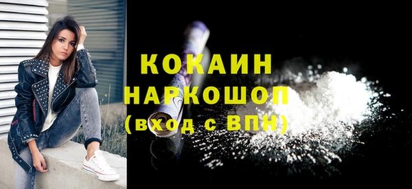 твердый Новозыбков