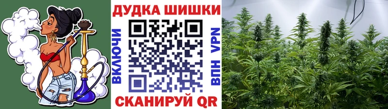 Каннабис семена  Купить  Шахты 